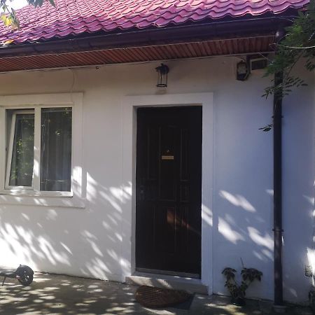Casa Miron Unirii 3Strada Matei Corvin Apartament Timişoara Eksteriør bilde